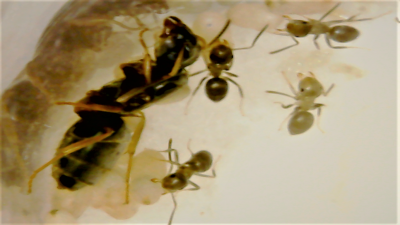 Zrzut ekranu (7).png