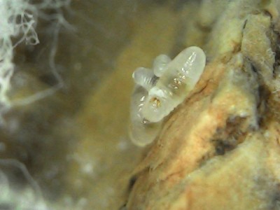 ooo patrzcie jaki pyszczek *w *