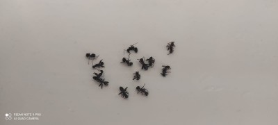 WhatsApp Image 2021-06-07 at 17.50.33.jpeg