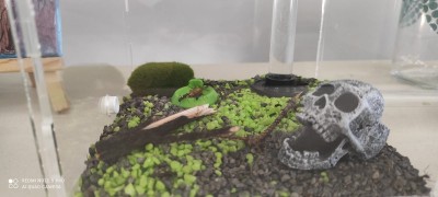 WhatsApp Image 2021-06-07 at 17.51.00.jpeg