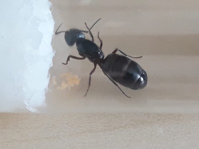 WhatsApp Image 2021-07-03 at 10.24.59.jpeg